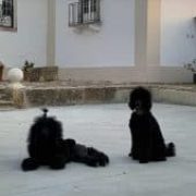 IMG-20190923-WA0003-169x300